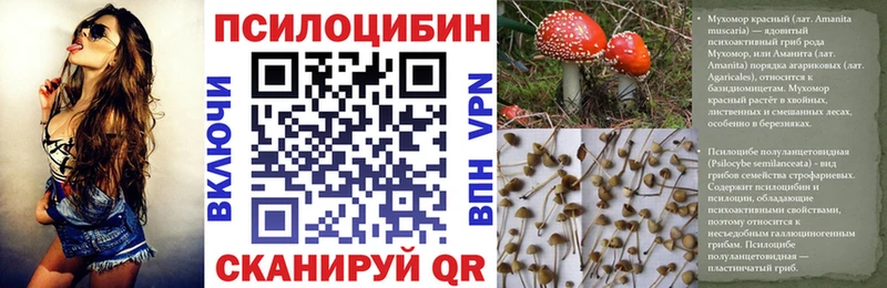 Галлюциногенные грибы GOLDEN TEACHER  где купить наркотик  Жуковский 